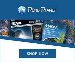 POND PLANET