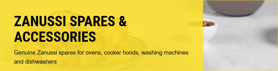 ZANUSSI