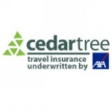 www.cedartreeinsurance.com