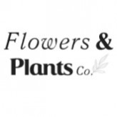 www.flowersandplantsco.com