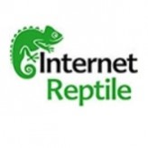 www.internetreptile.com