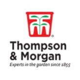 www.thompson-morgan.com